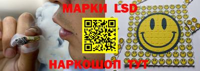 крисы Ставрополь