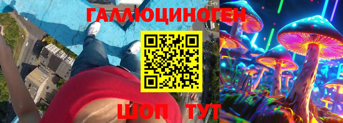 Галлюциногенные грибы Psilocybe Липецк
