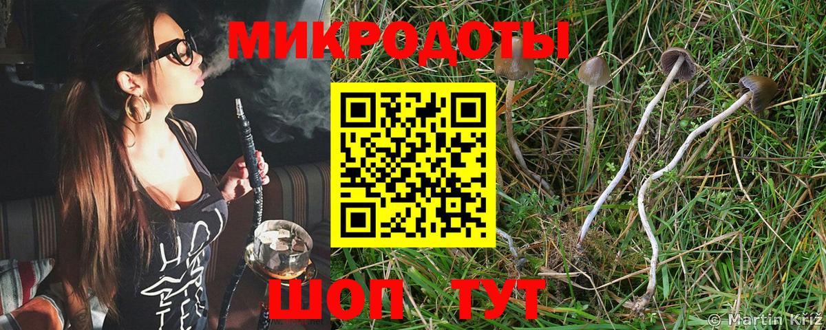 Липецк  Галлюциногенные грибы Psilocybine cubensis  Вход с VPN  Галлюциногенные грибы ЛСД 