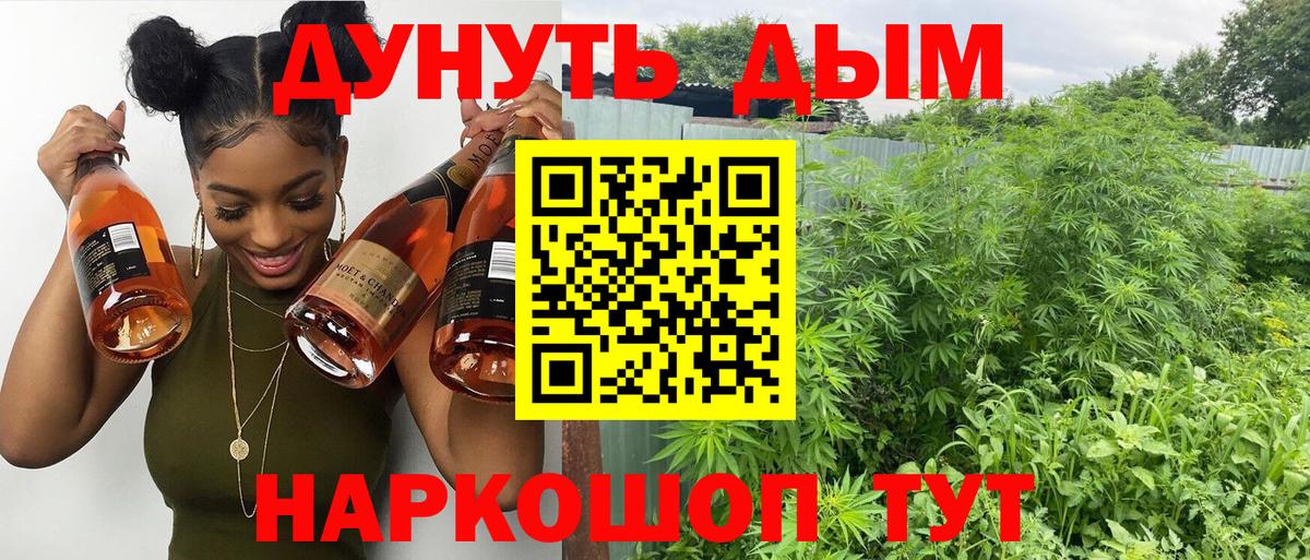 Бошки Шишки конопля  Каннабис SATIVA & INDICA  Липецк  Конопля Ganja  Вход с VPN  Конопля индика 